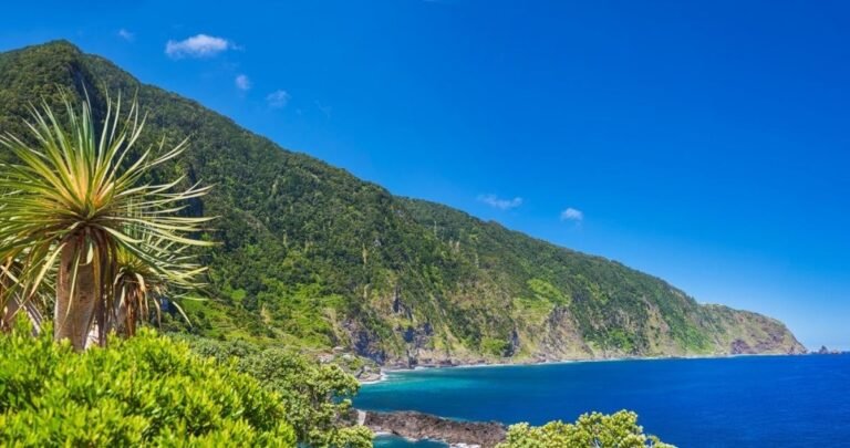 Madeira, called the island of eternal spring