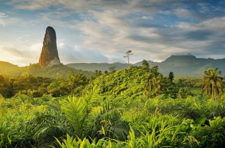 The islands of São Tomé and Príncipe are located in the Gulf of Guinea