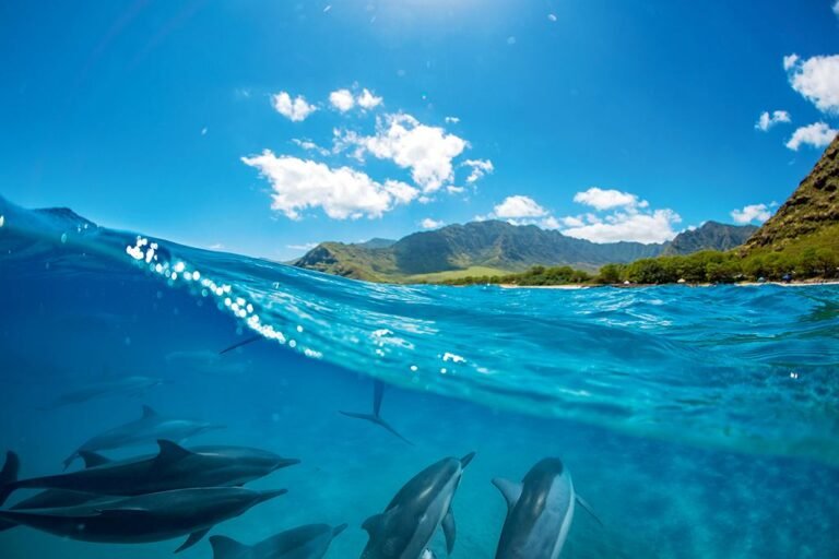 Attractions on Réunion Island