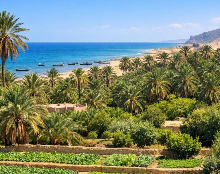 Gabès port city oasis and henna