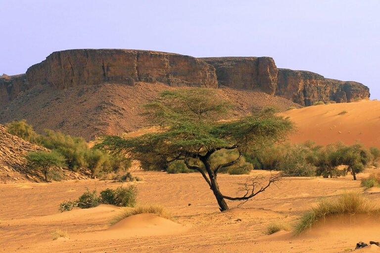 An-Nama city lies at the junction of the Adrar landscapes and the sands of the Sahara