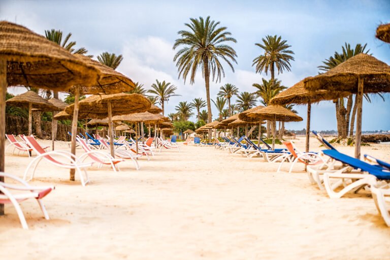 North African island in the Mediterranean Sea, Djerba. 