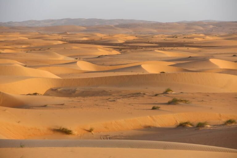 Fassala is a city with a large population, a refugee crisis, and droughts.
