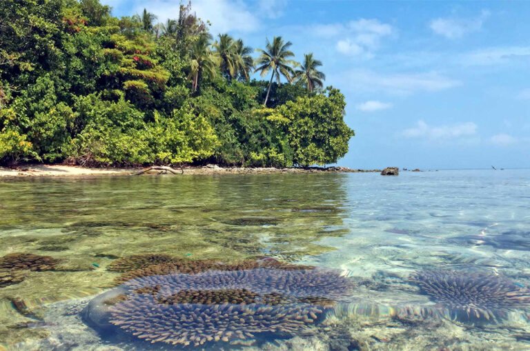 The Solomon Islands is an island nation located in the western part of Oceania