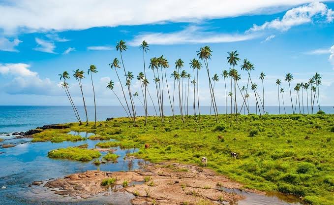 Samoa is an island nation in Polynesia, in the eastern part of Oceania in the Pacific Ocean